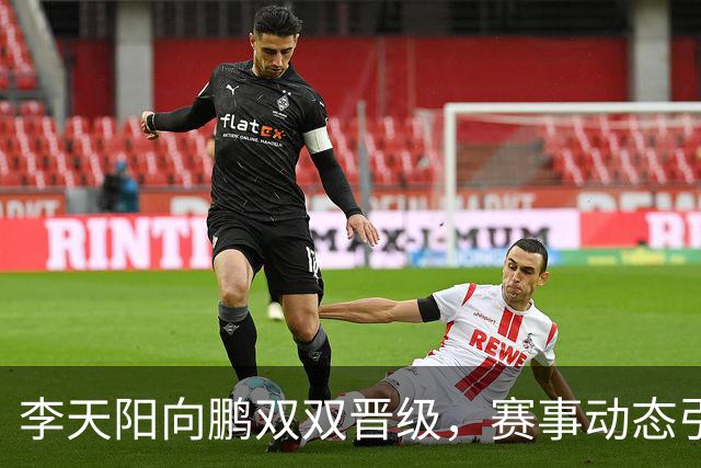 李天阳向鹏双双晋级，赛事动态引关注